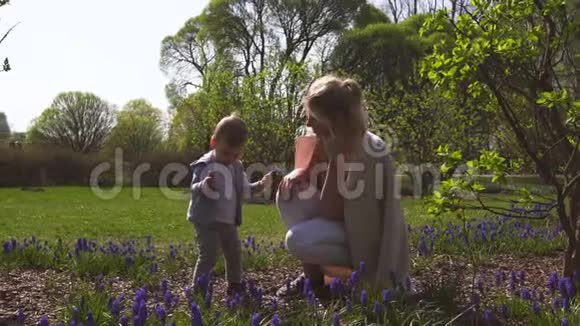 春天年轻的母亲和一个小男孩儿子在麝香球场玩耍和交谈阳光明媚的一天葡萄风信子里加视频的预览图