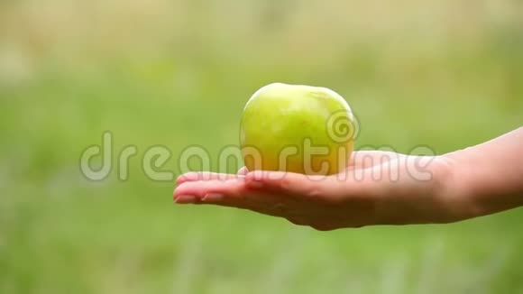 特写一只绿色苹果躺在女手上果园里抱着苹果的女孩视频的预览图