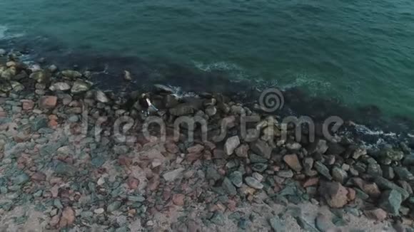 在海边的石质海滩上鸟瞰情侣视频的预览图