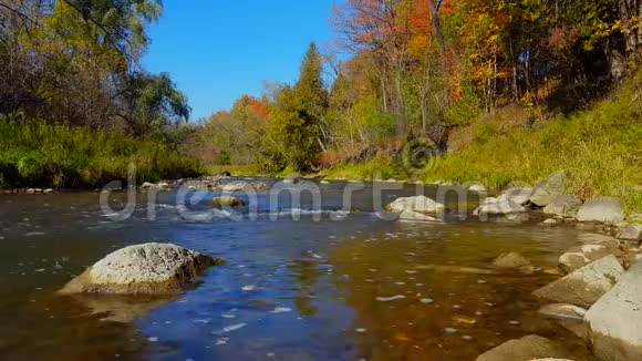 秋天美丽的流水河水与河滨森林阳光明媚的河岸树木带着色彩斑斓的叶子沿着温柔的运河视频的预览图