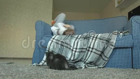 一个小女孩在房间里的沙发上跳旁边坐着一只灰色的猫视频的预览图