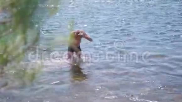 快乐的孩子在一条山河里游泳喷水夏日炎炎视频的预览图