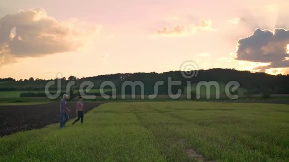 老父亲和他的成年儿子一起走在小麦或黑麦地上背景是美丽的日落视频的预览图
