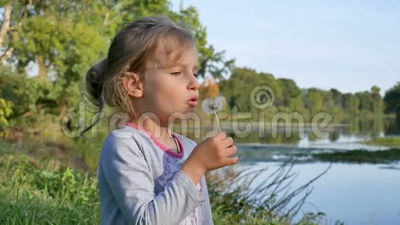 可爱的小女孩金发吹蒲公英在阳光明媚的一天在公园的湖背景慢动作视频的预览图