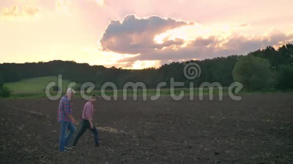 成年的儿子和他的老父亲一起走在田野上日落时美丽的耕地景色在背景中视频的预览图