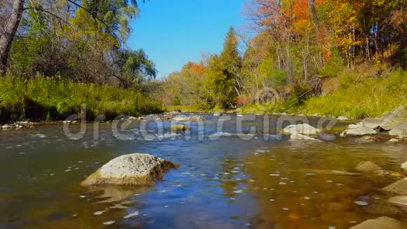 秋天美丽的流水与江边森林阳光明媚的河岸树木沿着柔和的运河有彩色的叶子视频的预览图