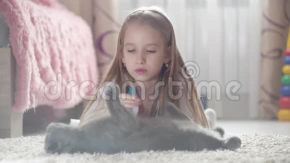小女孩在家和猫玩医生女孩扮演兽医与家庭宠物视频的预览图