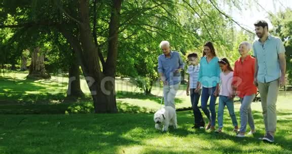多代家庭和他们的狗在公园里散步视频的预览图