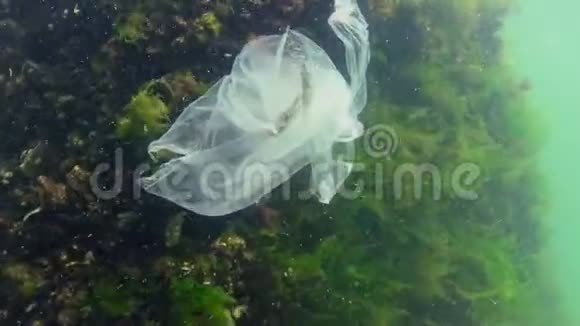 垃圾在水中聚乙烯袋杀死海洋动物虾死视频的预览图