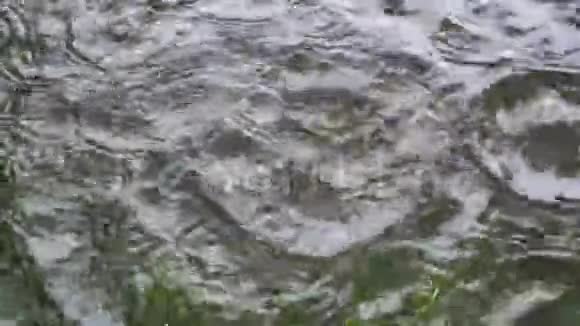 慢动作雨滴落水在阴沉的秋日从上面看到的视频的预览图