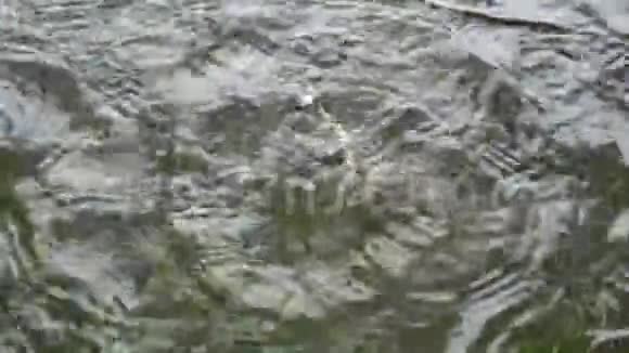 极特写大的雨滴从上面落到阴天的暗水里视频的预览图