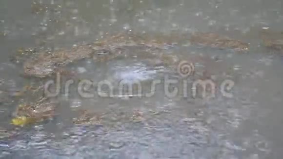 雨中水面上一个大漩涡的特写视频的预览图