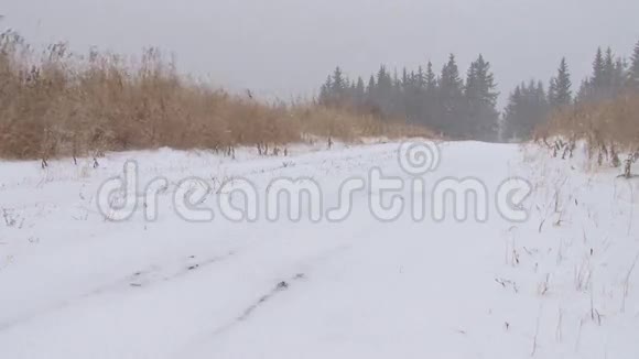 白雪覆盖的道路视频的预览图