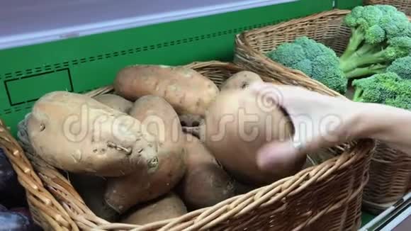 人手采摘新鲜生土豆背景质地马铃薯根生蔬菜4k视频的预览图