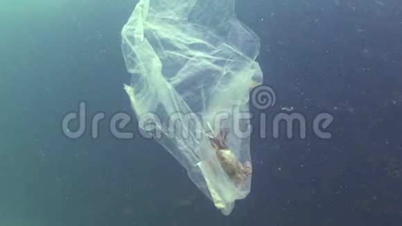 塑料袋在海里杀手蟹塑料碎片污染水生动物死亡视频的预览图