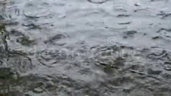 特写少见大的雨滴在阴天落入暗水慢动作视频的预览图