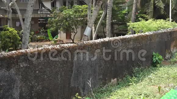 翻修围墙印度喀拉拉省科奇堡视频的预览图