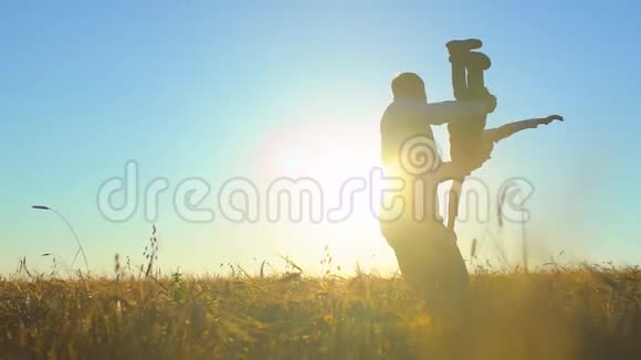 父子嬉戏的剪影在夏日的麦田里欣赏日落幸福的家庭散步视频的预览图