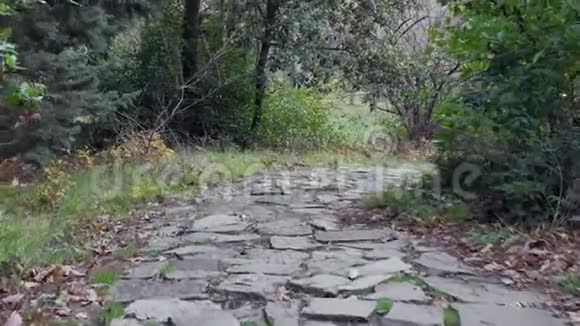 旧公园里的鹅卵石步道视频的预览图