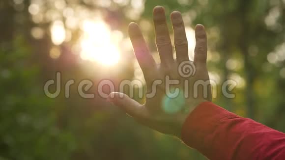 人类的手与阳光紧紧地贴在一起视频的预览图