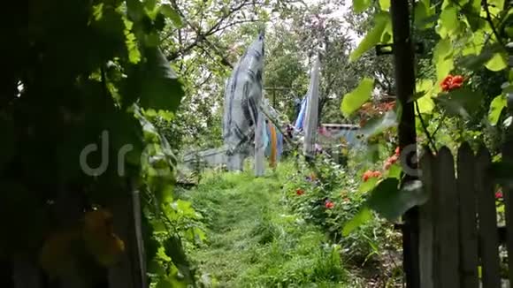 洗衣服在花园里晾干视频的预览图