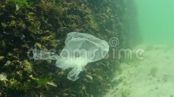 垃圾在水中聚乙烯袋杀死海洋动物虾死自然生态可塑视频的预览图