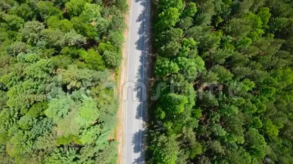 从森林中俯瞰公路相机逆时针旋转视频的预览图
