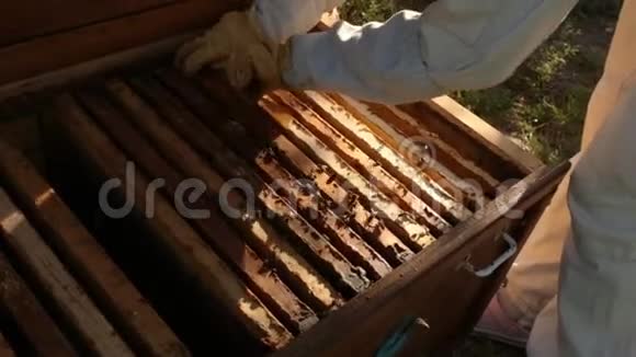 安装蜂窝框架的木制蜂巢蜜蜂正飞过蜂巢女养蜂人用蜱药视频的预览图