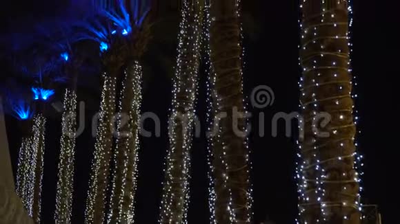 有很多灯光的棕榈树视频的预览图