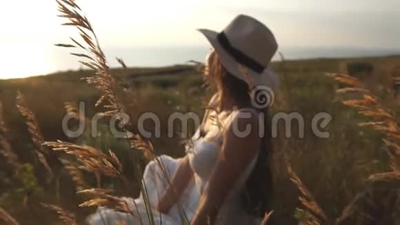 布吕内特戴着草帽坐在田野里欣赏日落视频的预览图