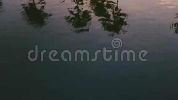 印度喀拉拉邦日落时棕榈树倾斜拍摄视频的预览图
