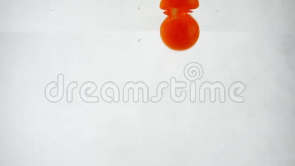 五个成熟的樱桃番茄果实浸没在白色背景下视频的预览图