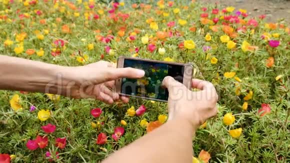 女人在智能手机上打花按下手机屏幕视频的预览图