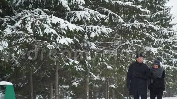 男人和女人在雪中行走视频的预览图