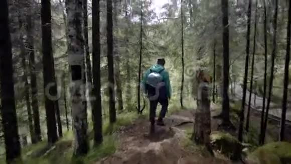 旅行者沿着森林小径漫步的后景库存录像带着背包和雨衣的旅行者走在崎岖的道路上视频的预览图