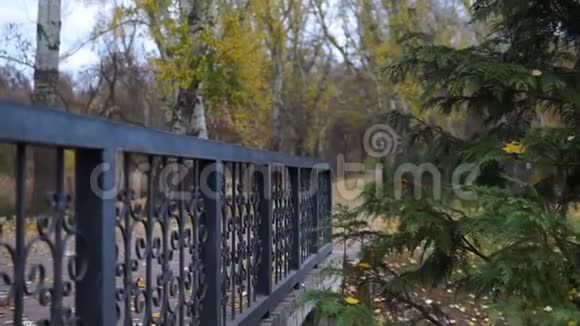 秋天公园的金属桥自然视频视频的预览图