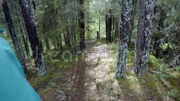 旅行者沿着森林小径漫步的后景库存录像带着背包和雨衣的旅行者走在崎岖的道路上视频的预览图