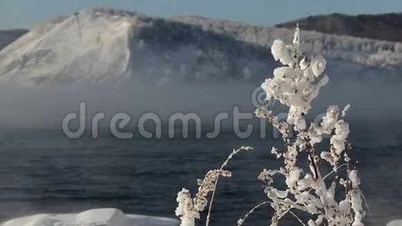 贝加尔湖水面上的风中覆盖着霜雪的灌木丛视频的预览图