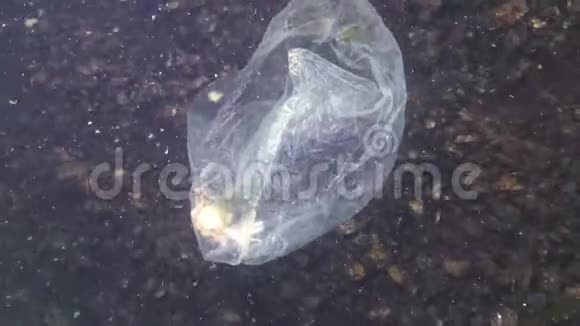 塑料袋在海里杀手蟹塑料碎片污染水生动物死亡视频的预览图