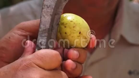 印度喀拉拉邦的一排肉豆蔻果视频的预览图