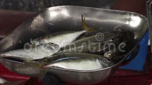 在印度的一个市场上捡两条鱼视频的预览图