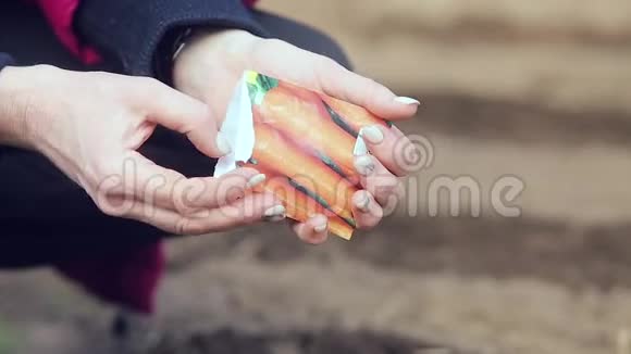 女农民种植胡萝卜种子视频的预览图