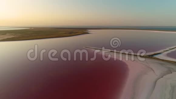 从高处到粉红湖中央赤鸢的全景视频的预览图