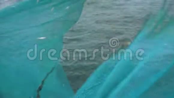 渔人拖着拖网收集一条鱼视频的预览图