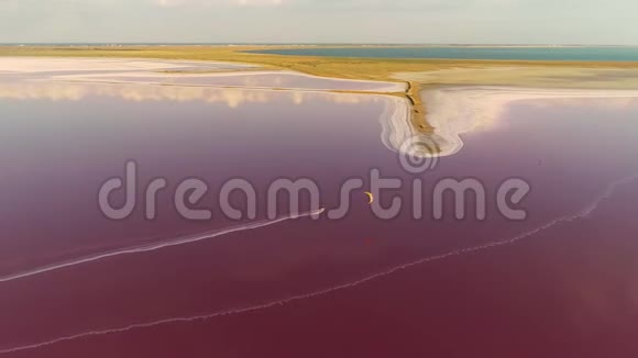 空中射击一个孤独的风筝爱好者在一个粉红色的湖的背景下大海视频的预览图
