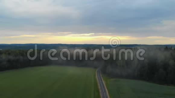 雾蒙蒙的森林和一条乡间小路的空中景色视频的预览图