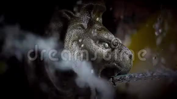 用大理石雕刻的狮子的嘴视频的预览图