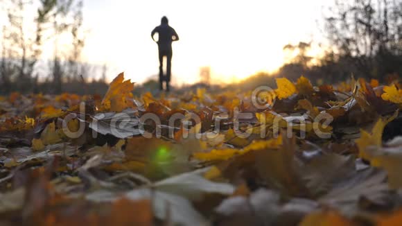 秋天公园慢跑和踩干树叶的年轻人剪影穿过秋天风景的男人视频的预览图