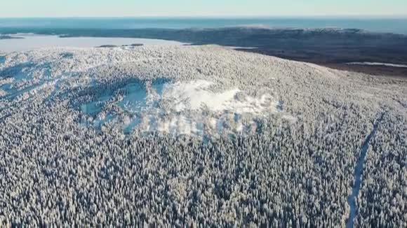 鸟瞰冬季森林和被雪覆盖的小地块录像美丽的冬季景观视频的预览图