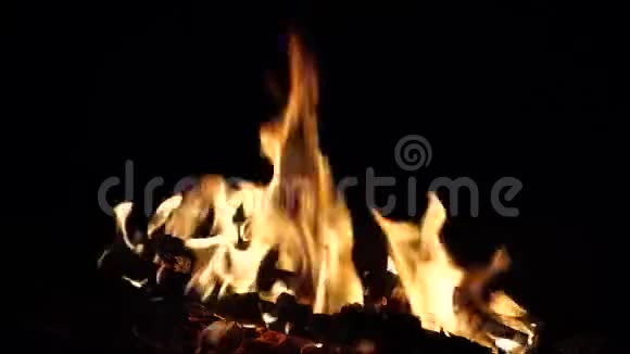 露营期间夜间烧柴火4K视频的预览图